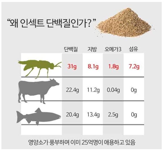 인섹드 단백질 사료