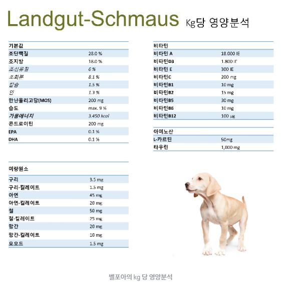 사료 성분